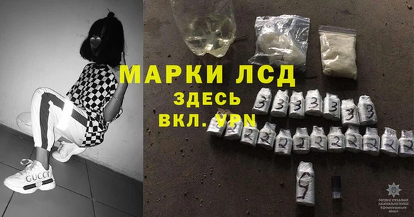 индика Бугульма