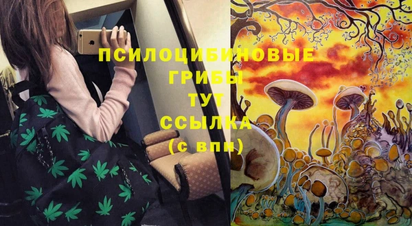 МДМА Богданович